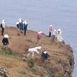 Turistas arriscam na Ponta do Pargo