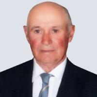 Manuel João Teixeira