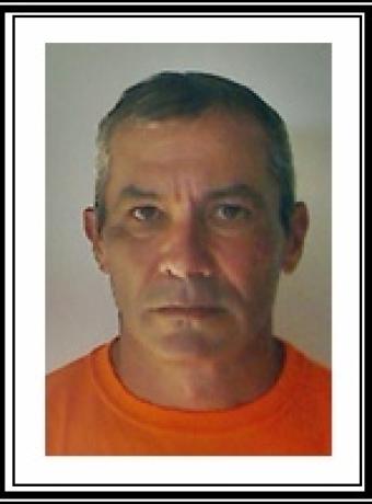 Pedro Vieira Carvalho