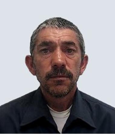 Manuel Pestana Ferreira