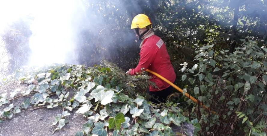 Incêndio na Ribeira Brava