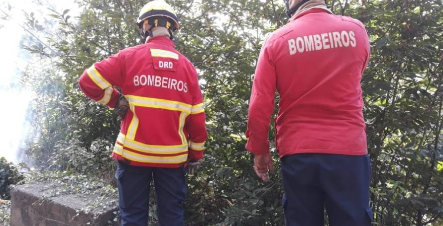 Queimada na Ribeira Brava mobiliza bombeiros