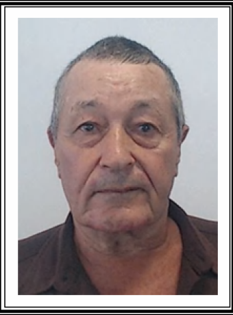 Agostinho Carvalho de Viveiros