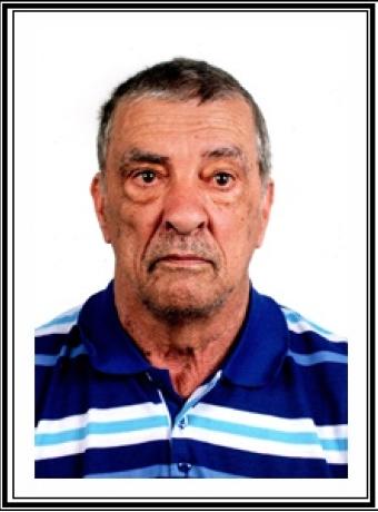 Manuel Marcelino Mata de Gouveia