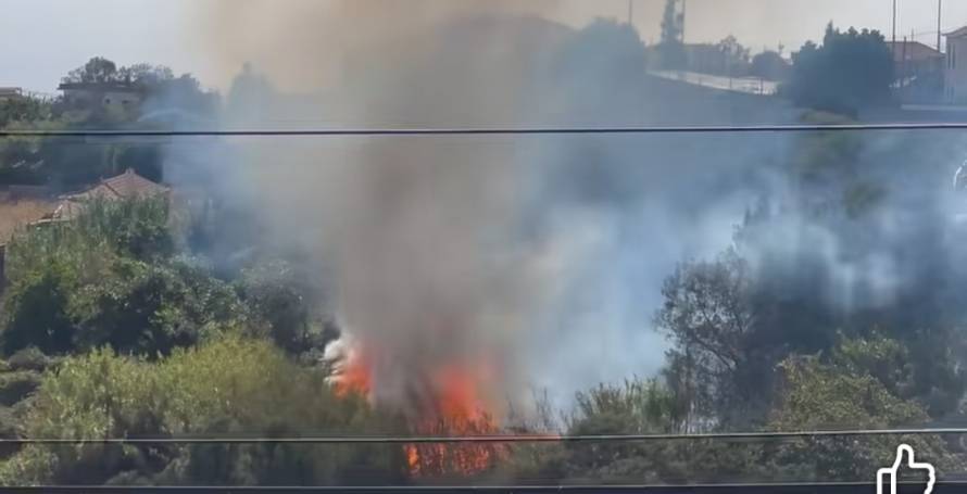 Incêndio está perto de casas; 40 bombeiros no local