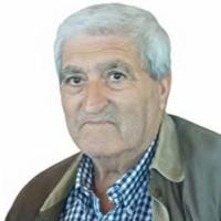 João Crisóstomo Nunes de Freitas Alves