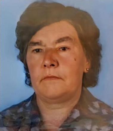 Cecília de Mendonça Freitas Luís