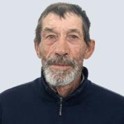 António Macedo Pestana Garçês