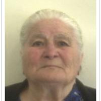 Maria de Gouveia e Freitas