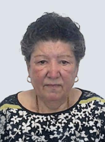 Maria Pereira de Abreu Góis