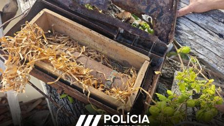 Encontrado projétil de guerra em Santa Cruz