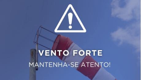 14 quedas de árvores e 13 desabamentos de estruturas