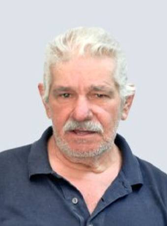 Manuel Figueira Luís