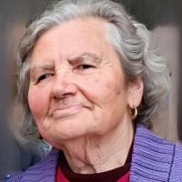 Maria Irene Gomes Luís