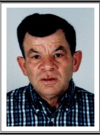 Alfredo Marques de Mendonça