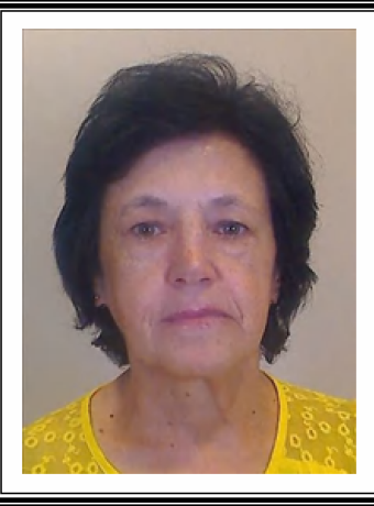 Conceição Maria Góis Viveiros