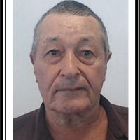 Agostinho Carvalho de Viveiros