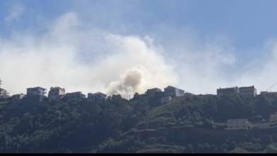 Incêndio com alguma dimensão na Quinta Grande (Com vídeo)