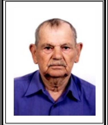 Arnaldo Ferreira de Góis