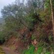 Insegurança na estrada preocupa moradores do sítio da Fajã da Cinza