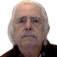 João Bernardo Pereira