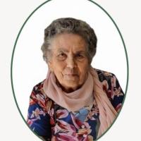 Encarnação Vieira da Luz Castanho