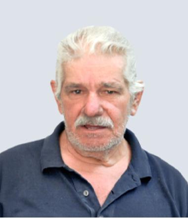 Manuel Figueira Luís
