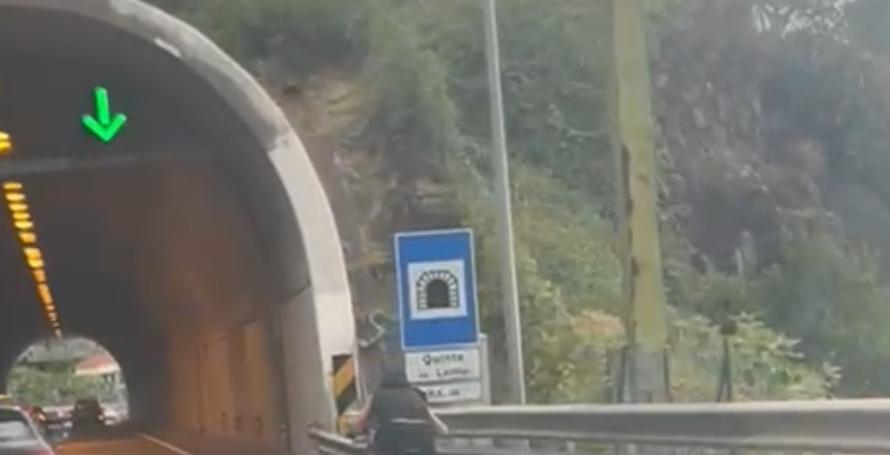 Ciclista na via rápida (Com vídeo)