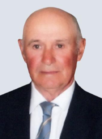 Manuel João Teixeira