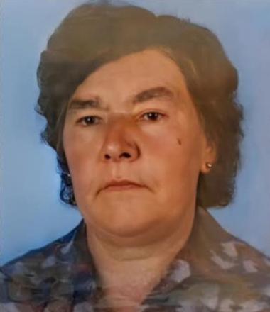Cecília de Mendonça Freitas Luís