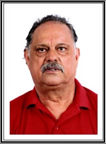 Manuel Fulgêncio dos Santos