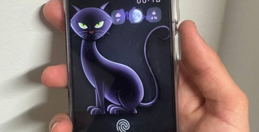Telemóvel encontrado num TVDE