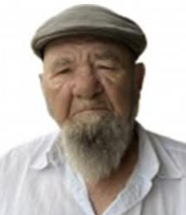 José de Ornelas