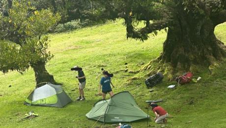 Três turistas apanhados a acampar ilegalmente no Fanal