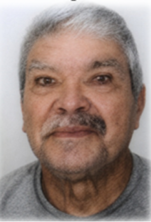 José António Pereira
