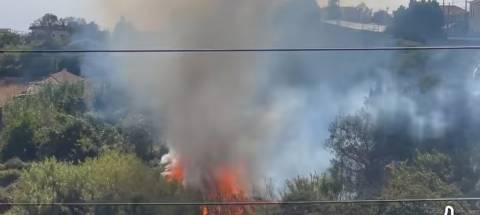 Incêndio está perto de casas; 40 bombeiros no local