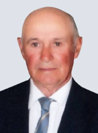 Manuel João Teixeira