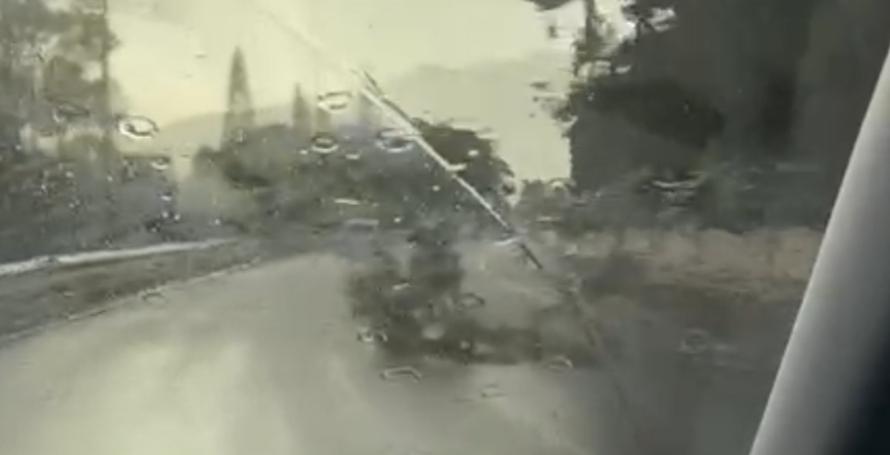 Dois galhos a meio da via rápida