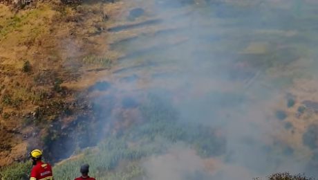 Incendiário da Ponta do Pargo tinha saído de internamento há dois dias e foi apanhado em flagrante