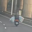 Motociclista arrisca na via rápida com sacos cheios de embalagens para receber caução do Sistema Volta