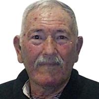 António Vieira da Luz