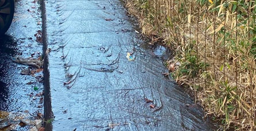 Derrame de água nauseabunda na Rua 5 de Outubro há mais um ano, segundo leitora