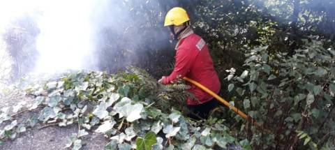 Incêndio na Ribeira Brava