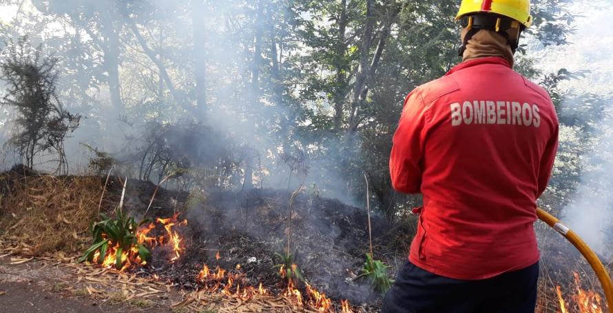 Queimada mobiliza bombeiros