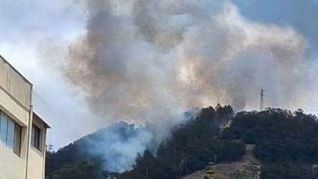 Apanhado incendiário do Caniço