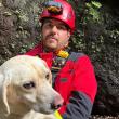 Bombeiros resgatam cão que estava 50 metros abaixo da Levada do Norte