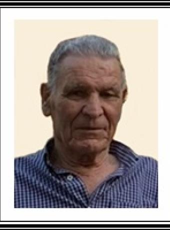 Manuel Estevão Pereira Sardinha