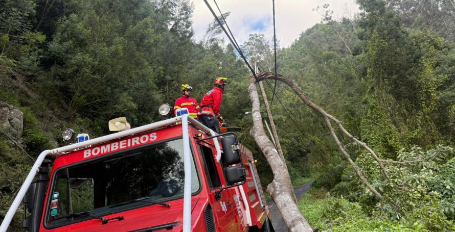 Bombeiros conseguem desobstruir acesso ao Curral dos Romeiros após três horas de intervenção