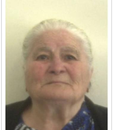 Maria de Gouveia e Freitas