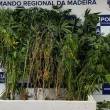 Apreendidas 31 plantas de canábis após alerta para violência doméstica